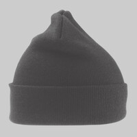 Heavyweight Thinsulate™ hat