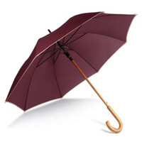 Auto open wooden umbrella